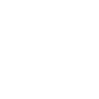 DataOne Systems logo