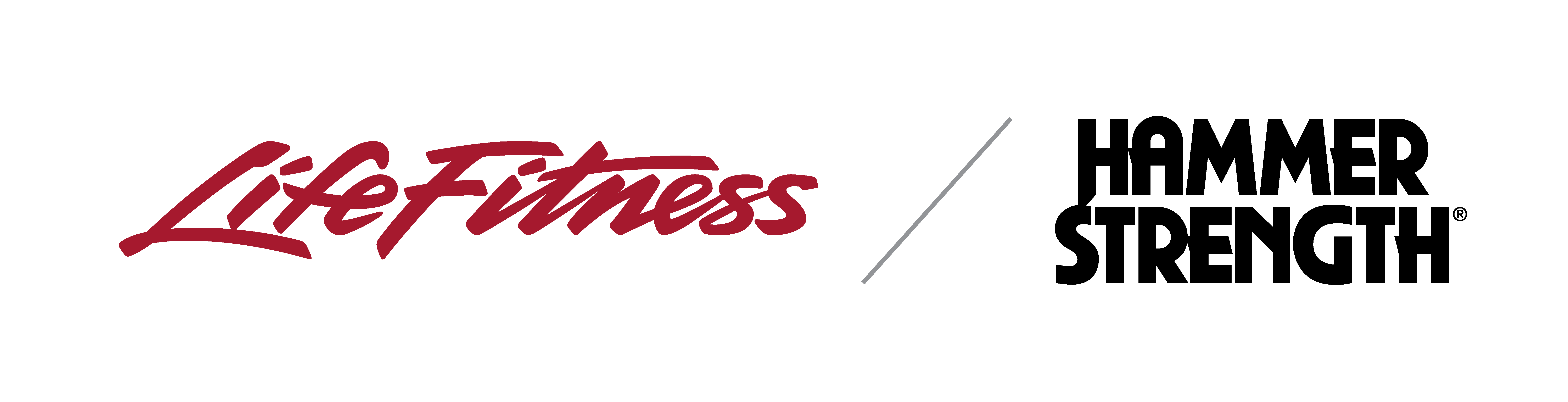 Life Fitness / Hammer Strength logo