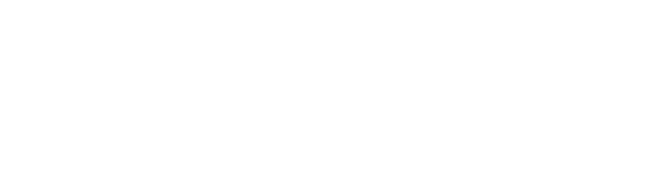 PROS logo