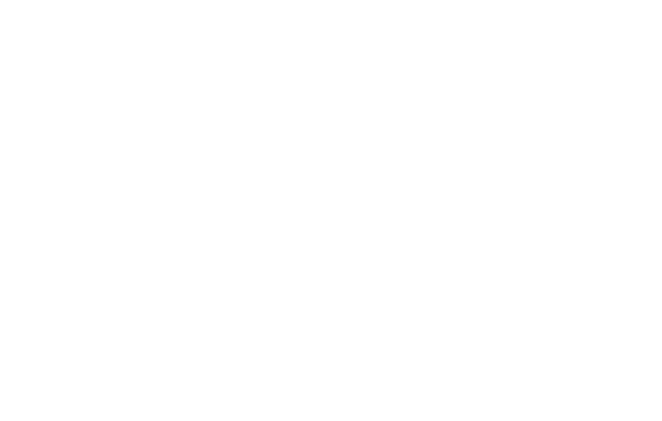 Saica Group logo