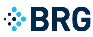 Berkeley Research Group, LLC logo