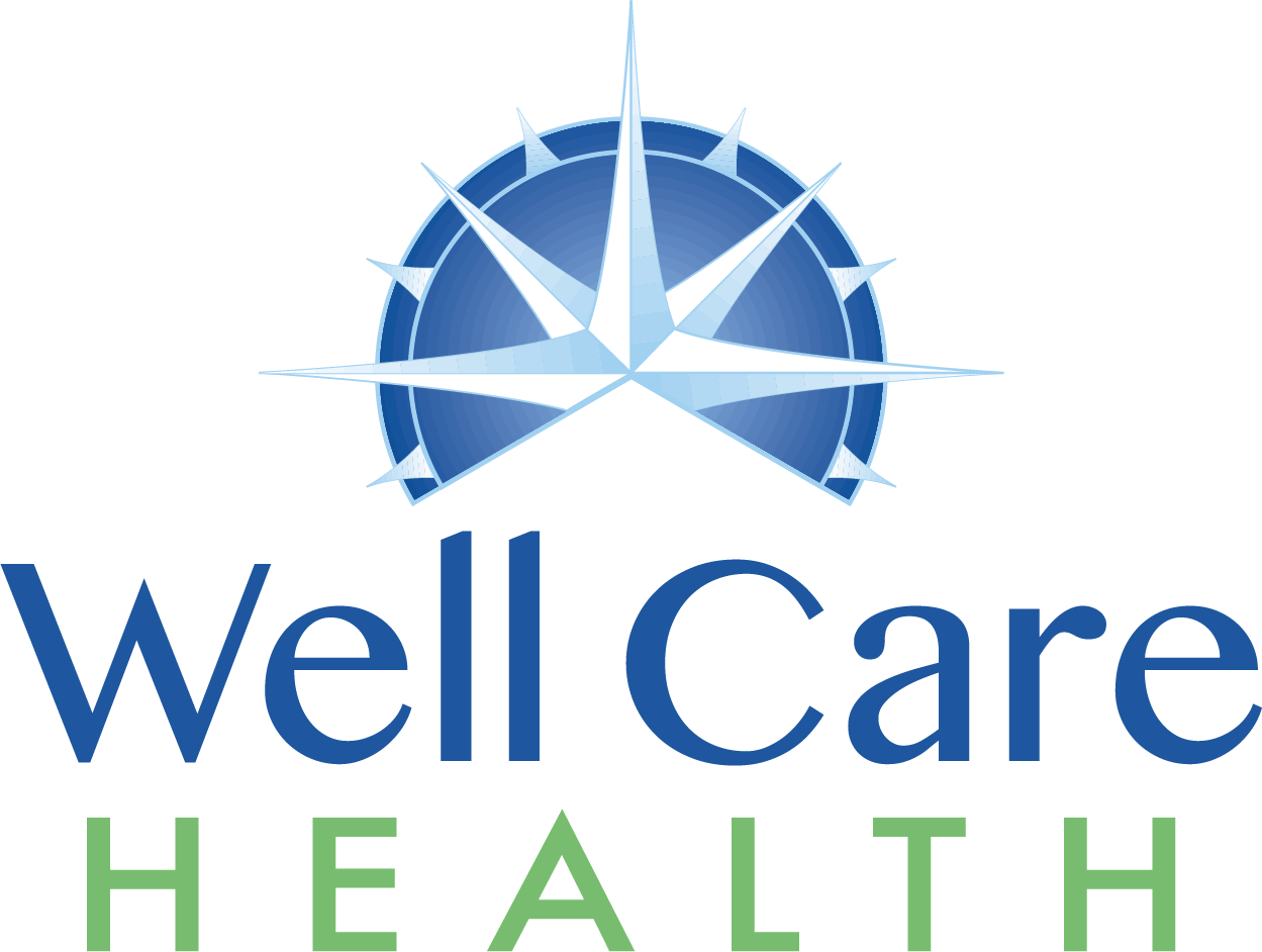 Well Care Health logo