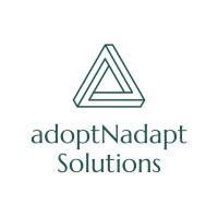 ANA Solutions / s3netra logo