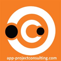 APP Consultoría - Powering Project Success & Digital Enablement logo