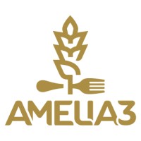 Amelia 3 Srl logo
