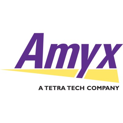 Amyx, Inc. logo