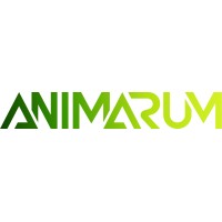 Animarum logo