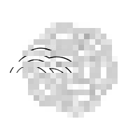 Anne Fontaine logo