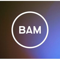BAM Strategy logo
