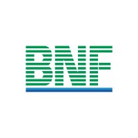 BNF Group logo