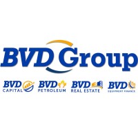 BVD Group logo