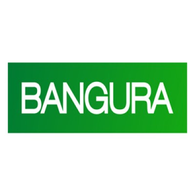 Bangura Solutions logo