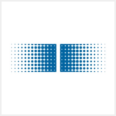Baumer Group logo