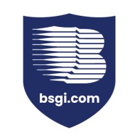 Berkshire Systems Group Inc (BSGI) logo