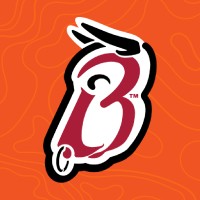 Big Chief Meat Snacks Inc. logo