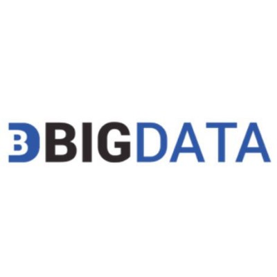 BigData Technology Solutions logo