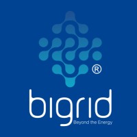 Bigrid logo
