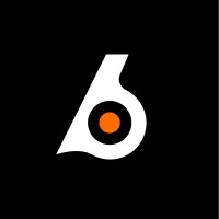 Birdeye.so logo