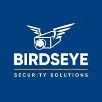 Birdseye Security Solutions logo