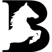 Blackcoffer logo