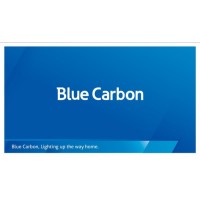 Blue Carbon Technology logo