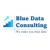 Blue Data Consulting logo