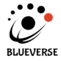 Blue Verse Systems logo