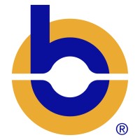 Bluepeak logo