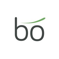 Boream logo