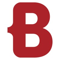 Borm-Informatik AG logo