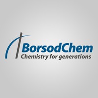 BorsodChem Zrt. logo