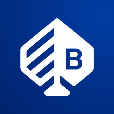 Bragg logo