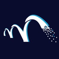Bridgesoft logo