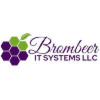 Brombeer IT Systems LLC logo