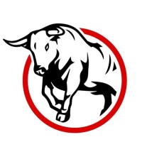 Bull Street Mergers logo