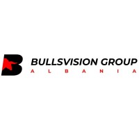 Bulls Vision Group logo