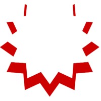 Business Intelligence Group logo