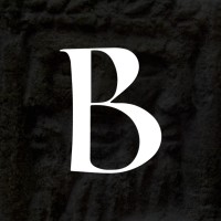 Byzantian Interactive, Inc. logo