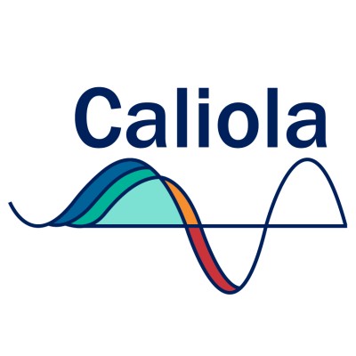 Caliola Engineering, LLC logo