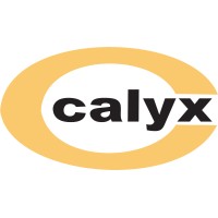 Calyx Chemicals & Pharmaceuticals Ltd. logo