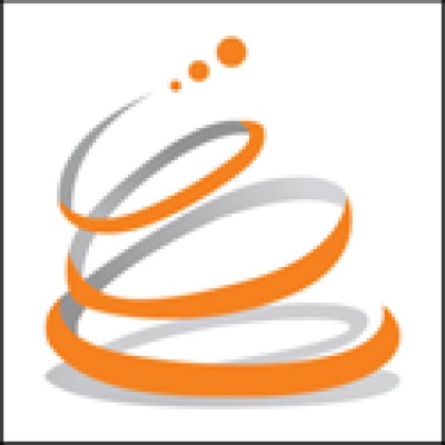 Cerebra Consulting Inc logo