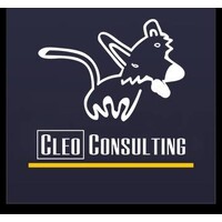 Cleo Consulting, Inc. logo