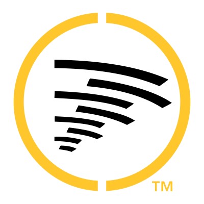 Cyberhawk™ logo