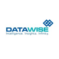 DATAWISE logo