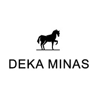 DEKA MINAS logo
