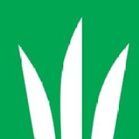 DLF - BV logo