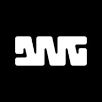 DNG - The Consumer Consulting Firm logo