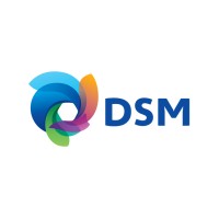 DSM logo