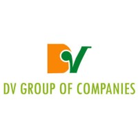 DV Group of Companies logo