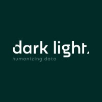 Dark Light - data & BI consultancy logo